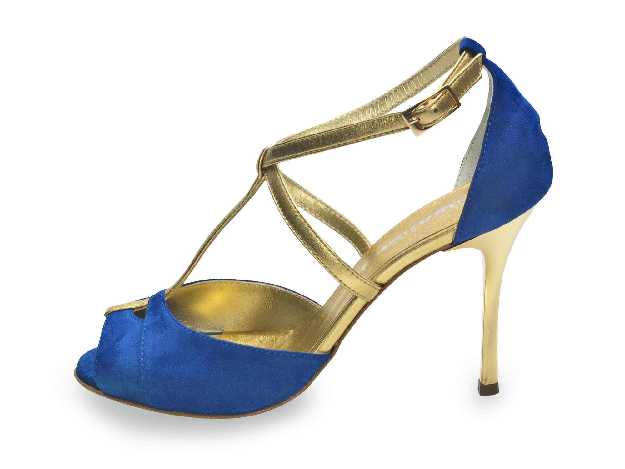 Diez Glossy Blue and Gold Leather